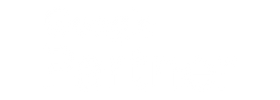Google Partner